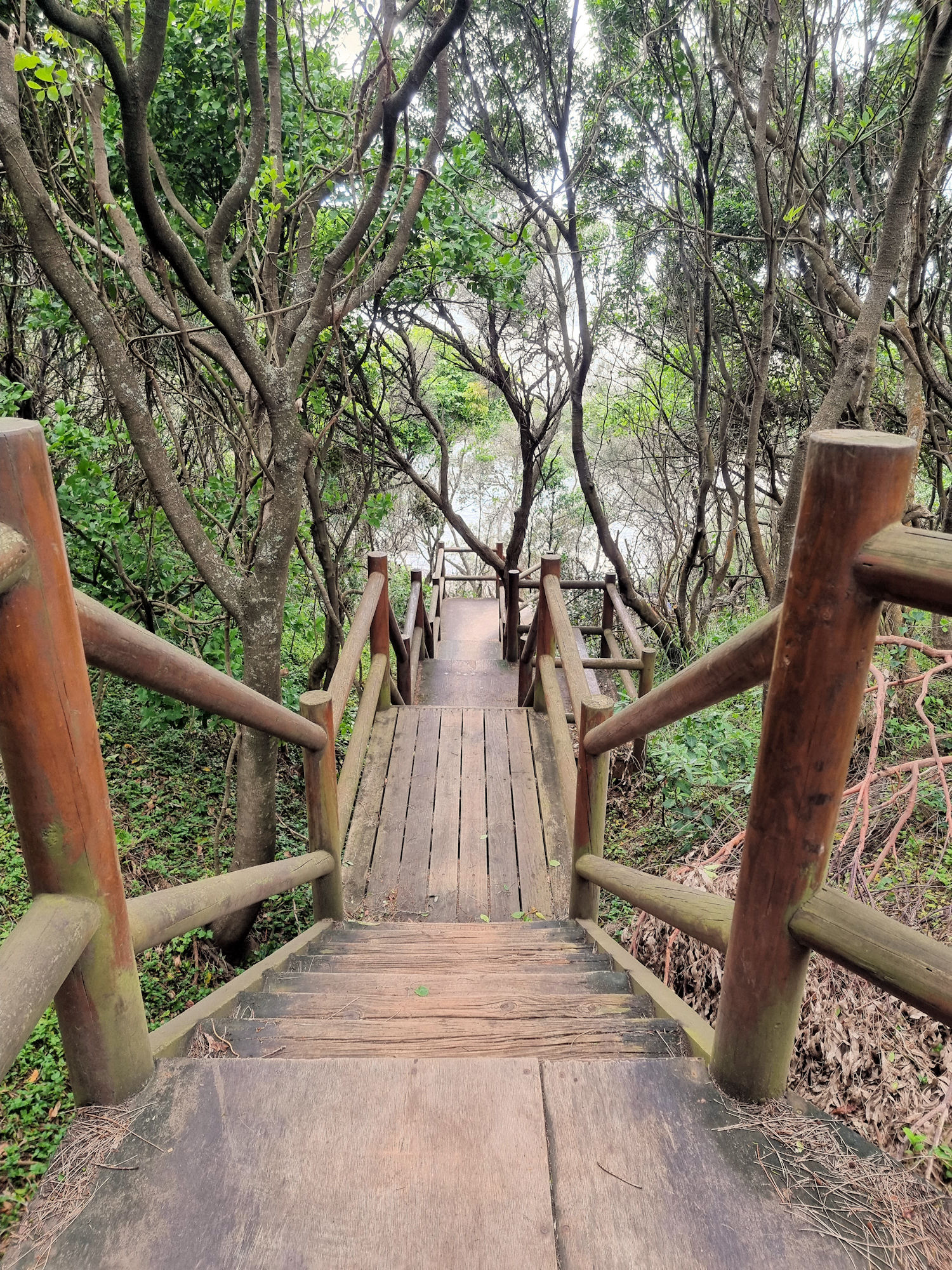 Wooden steps down to Bushranger Bay