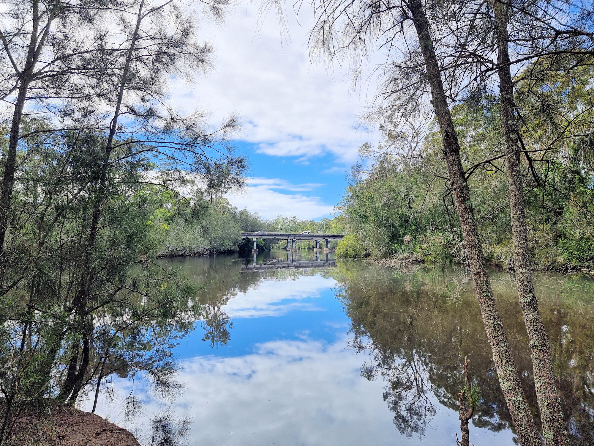 Dora Creek Looking at the M1 Motorway