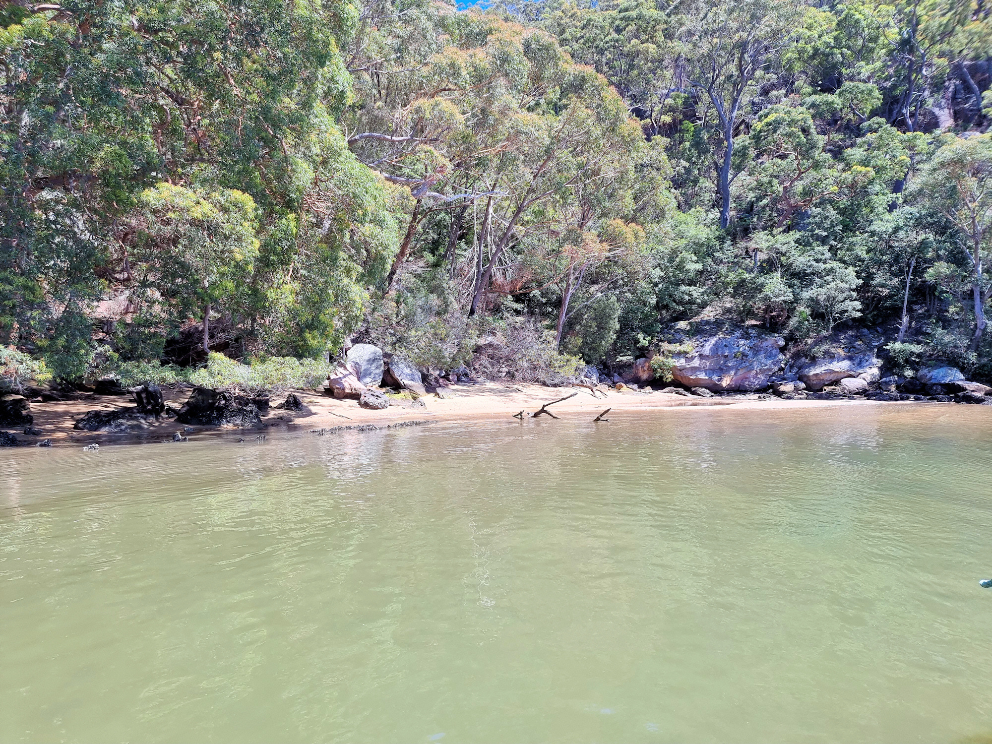 Beach Near the Oyster Lease