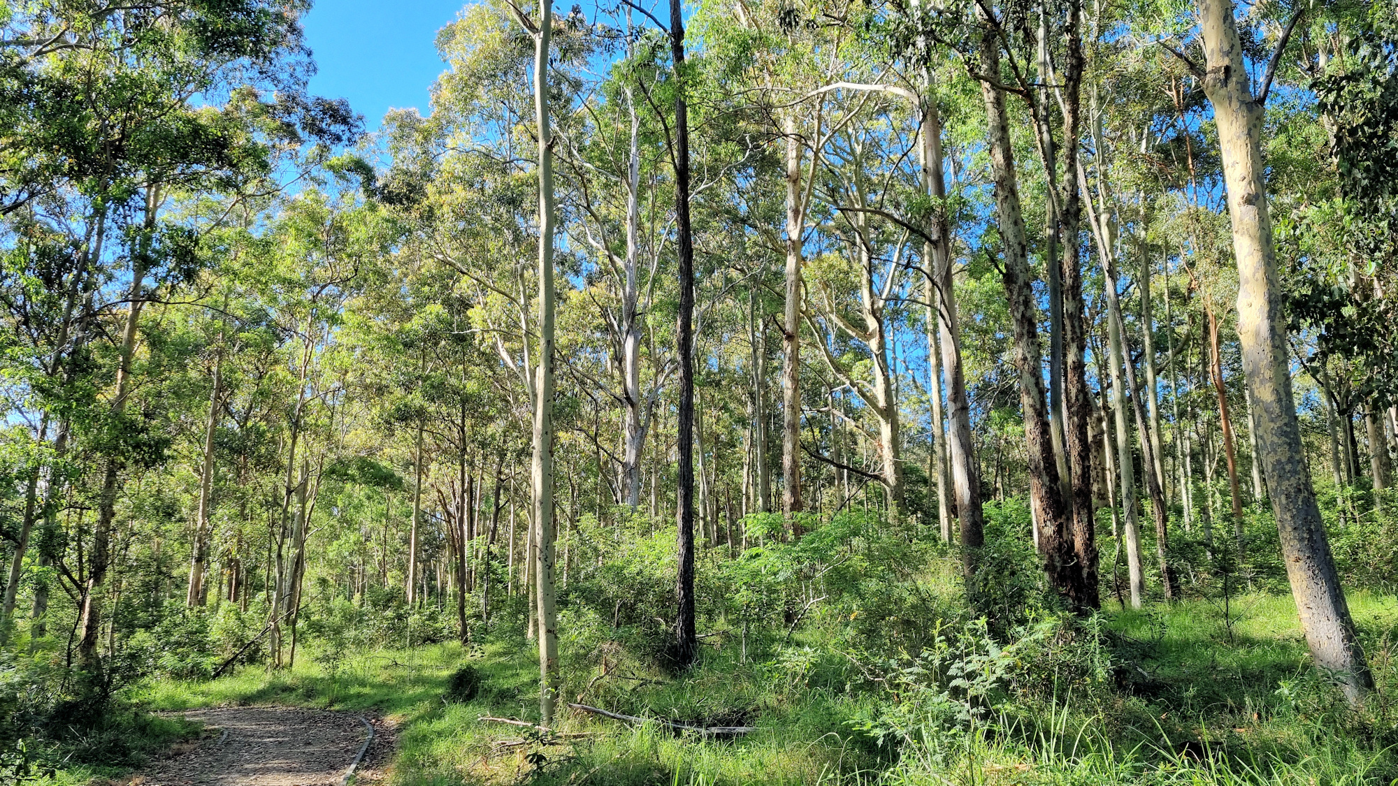 Heritage Walking Track