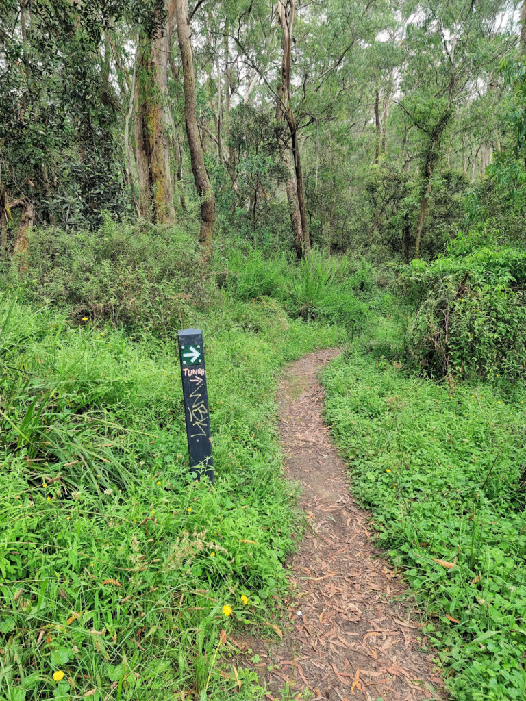 Sign Post on the Fire Trail