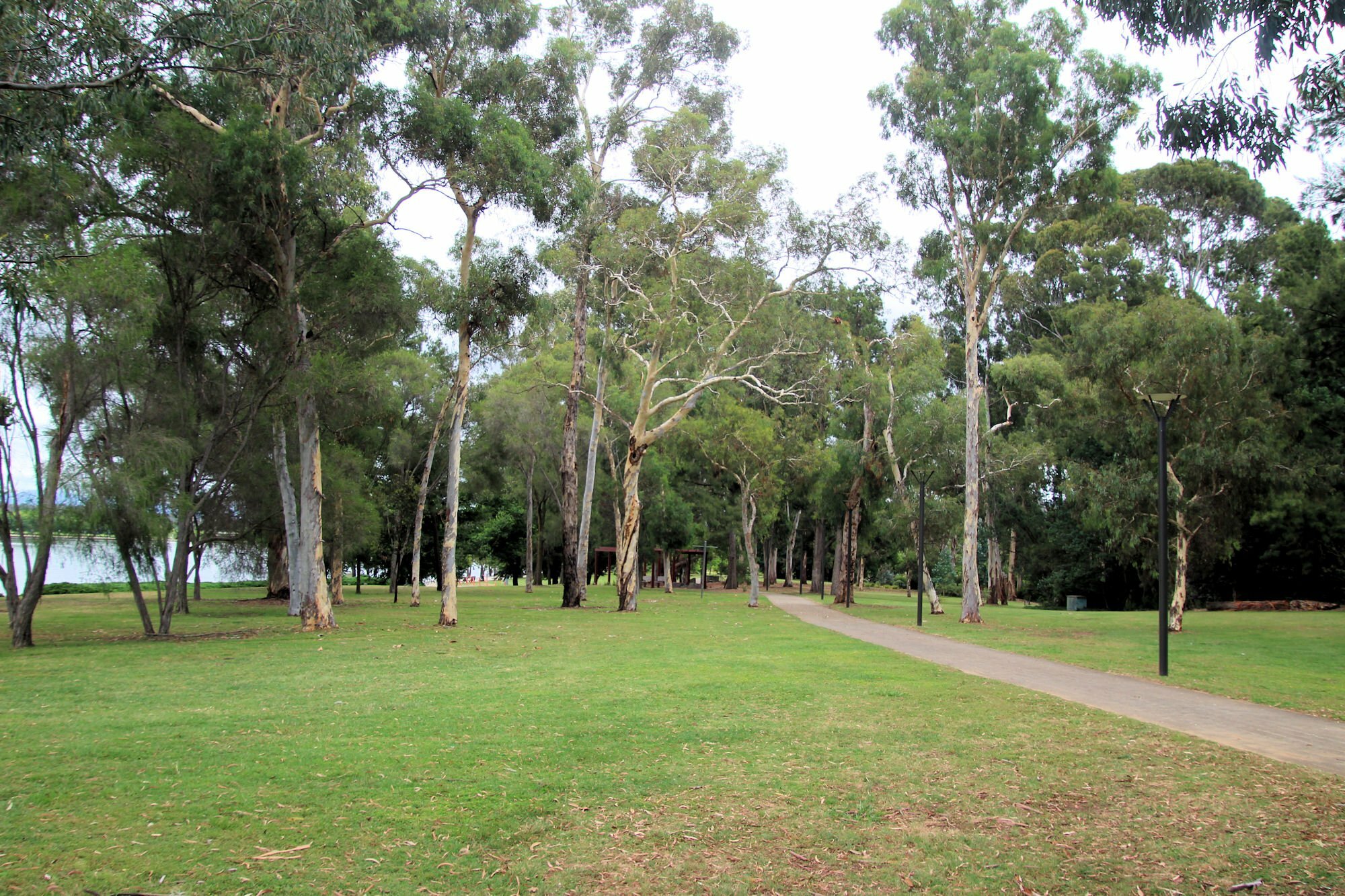 Commonwealth Park walking tracks