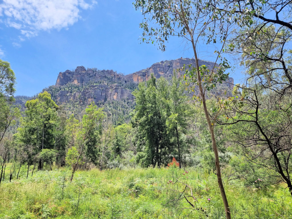 Some of the surrounding bush and mountains