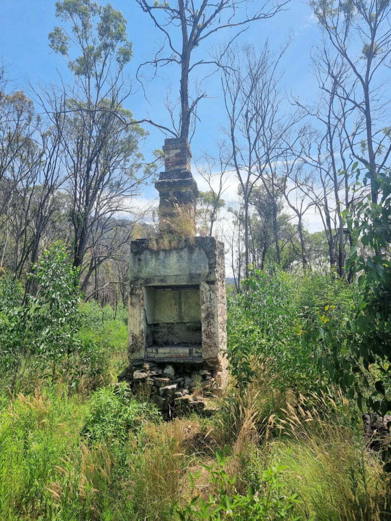 Fireplace and chimney ruin