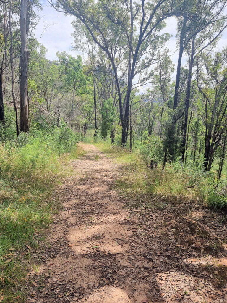 Part of the ruins walking track