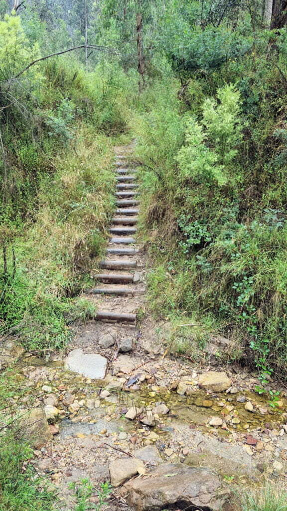 Steps on the walking track