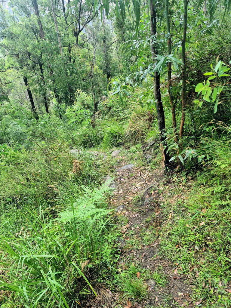 The Philosopher's Walk track Newness Industrial Ruins Map