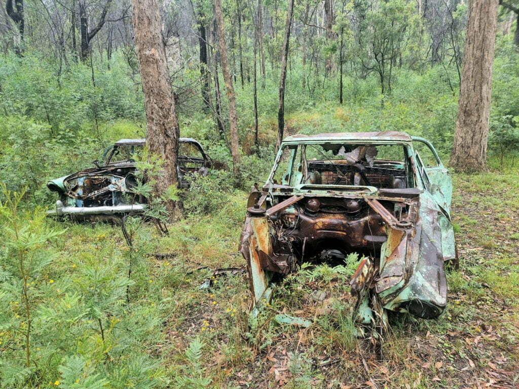 Two rusted out Zephyrs in the bush near the manager's residence