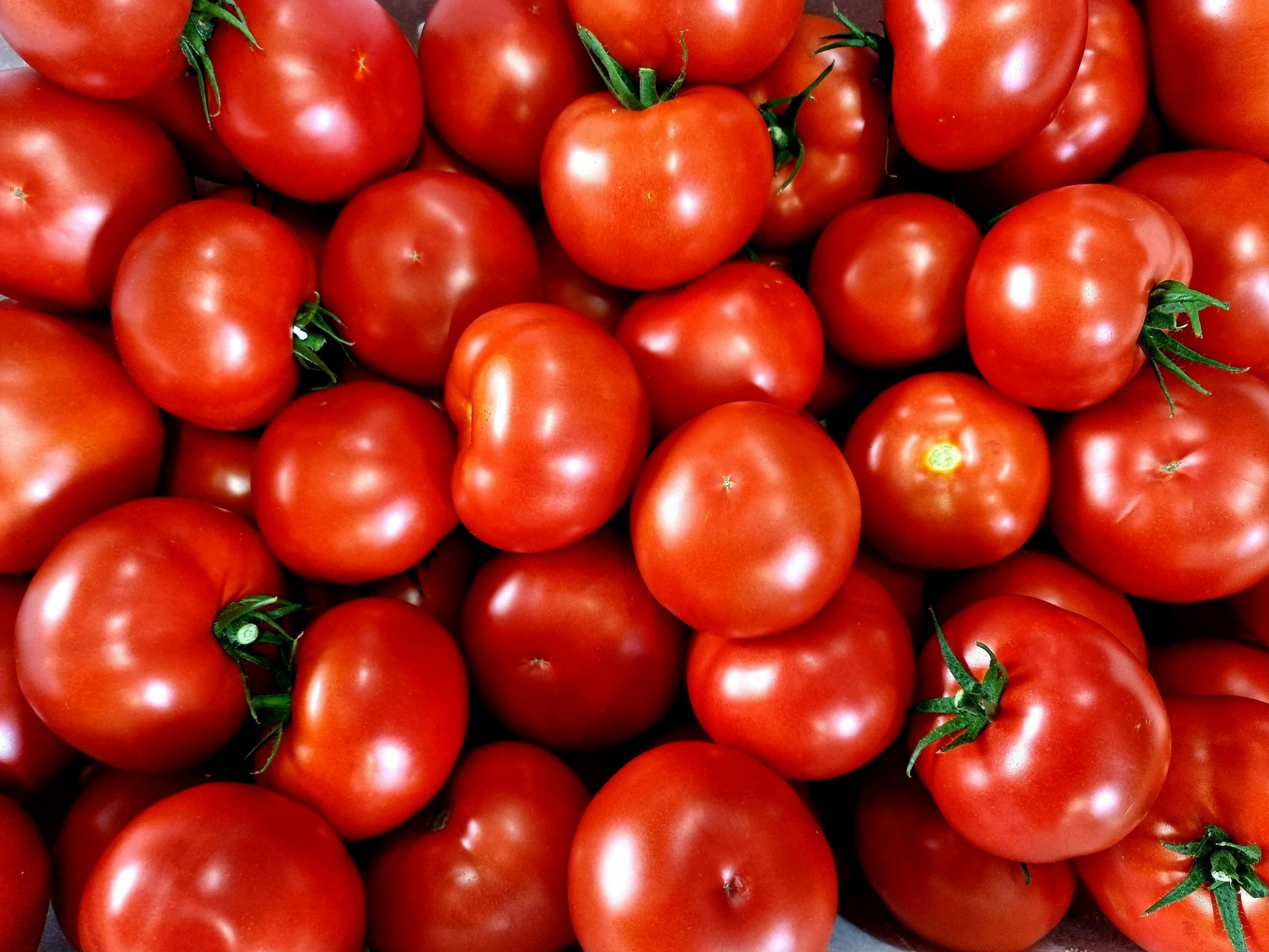 Ricardoes Tomatoes and Strawberries