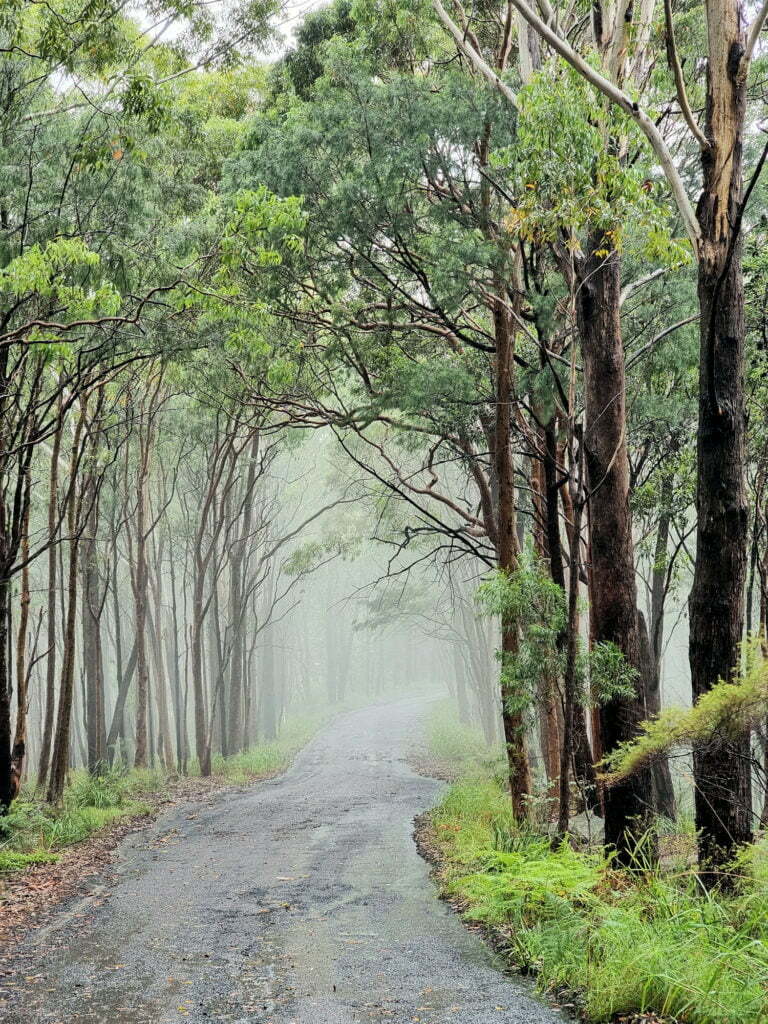 Mist and light rain over Dolly Avenue Rumbalara Reserve and Statues