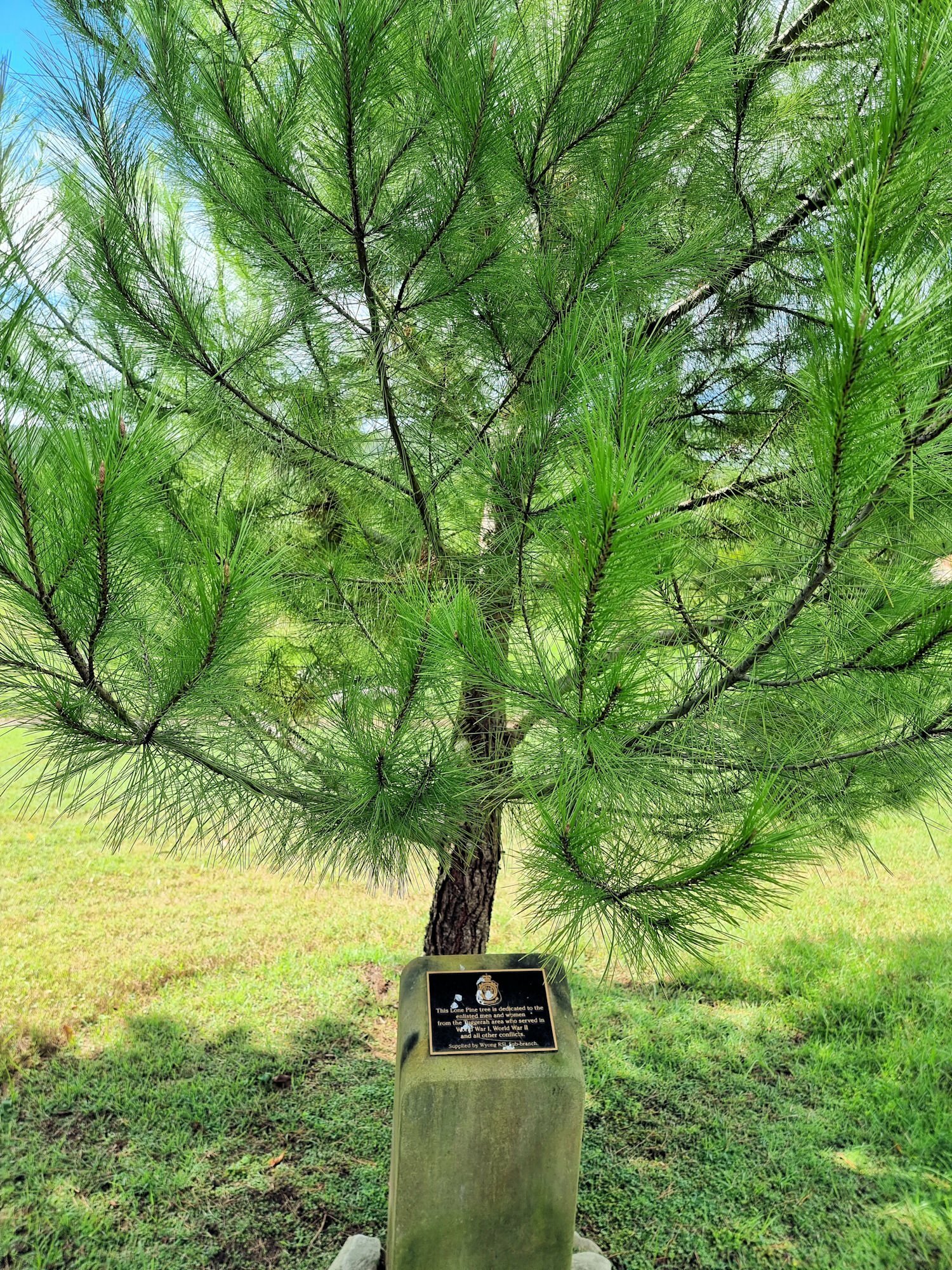 Lone Pine Memorial Alison Homestead Wyong