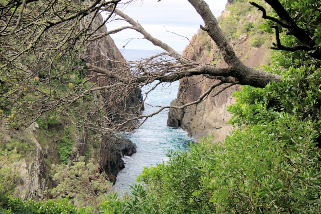 Small Rocky Inlet