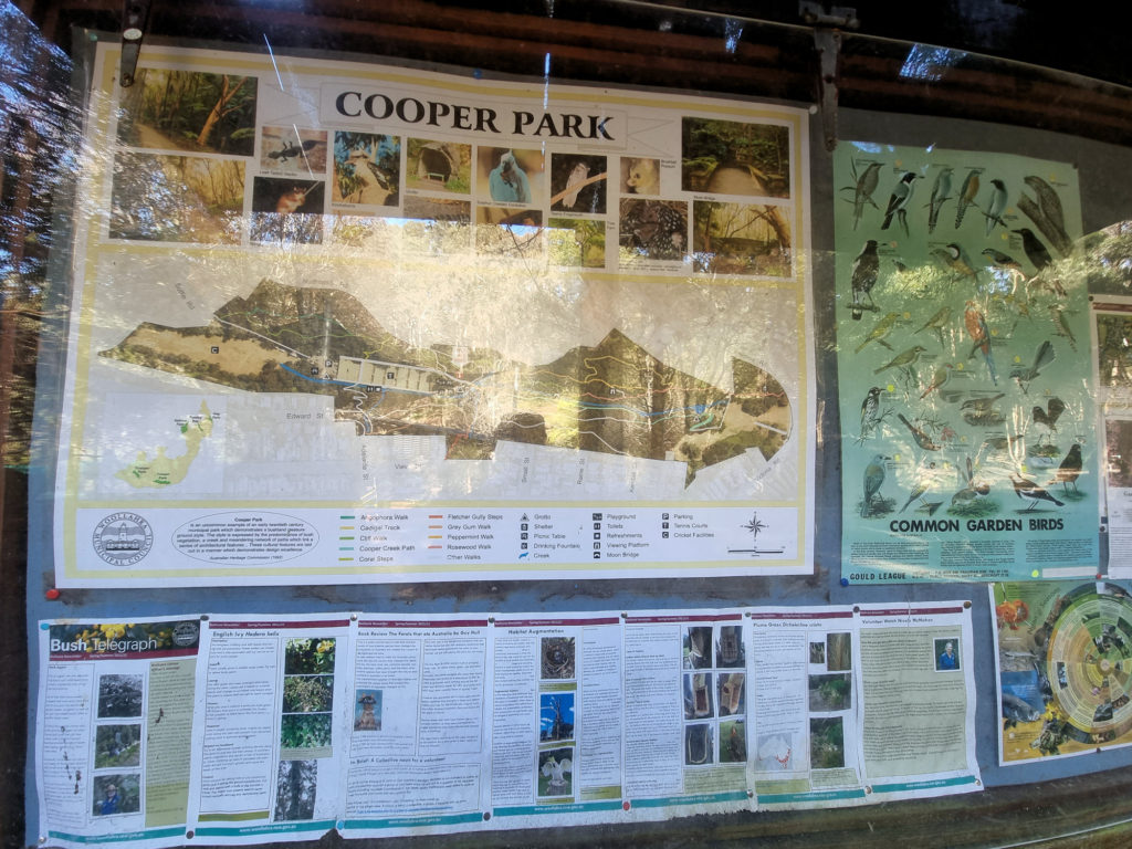 information board Cooper Park