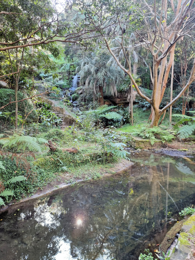 A pond Cooper Park