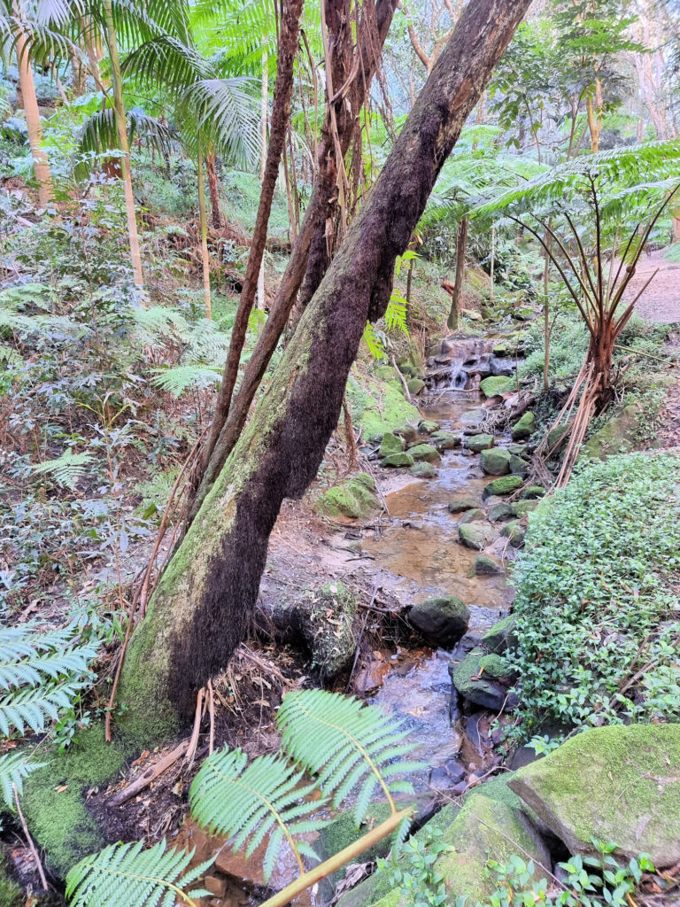 a creek Cooper Park