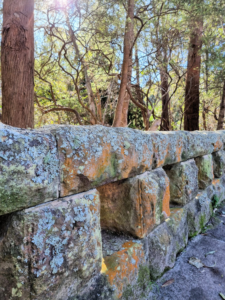 Stone wall covered in lichen