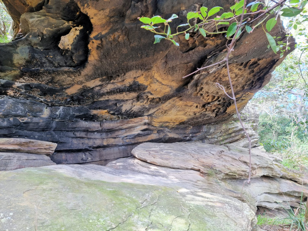 Weathered boulders on the Hermitage Foreshore Walk