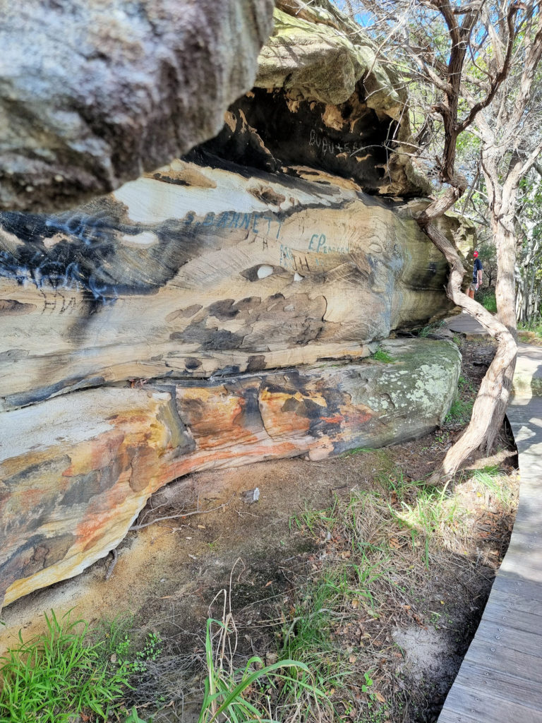 Weathered boulders on the Hermitage Foreshore Walk