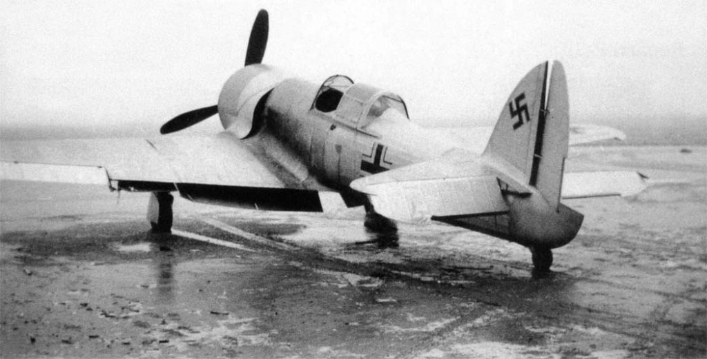 Renard R.37 Fighter Aircraft in German Markings