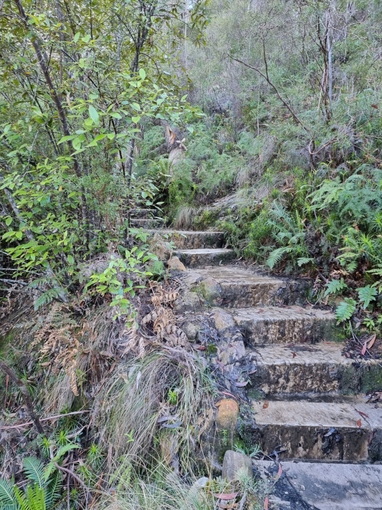 Stone Steps Leading Down