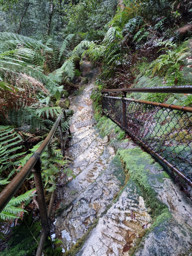 Wet and Slippery Steps on the Track