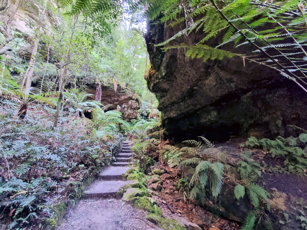 Stepping Stones on the Track Going Past Cliffs and Ferns