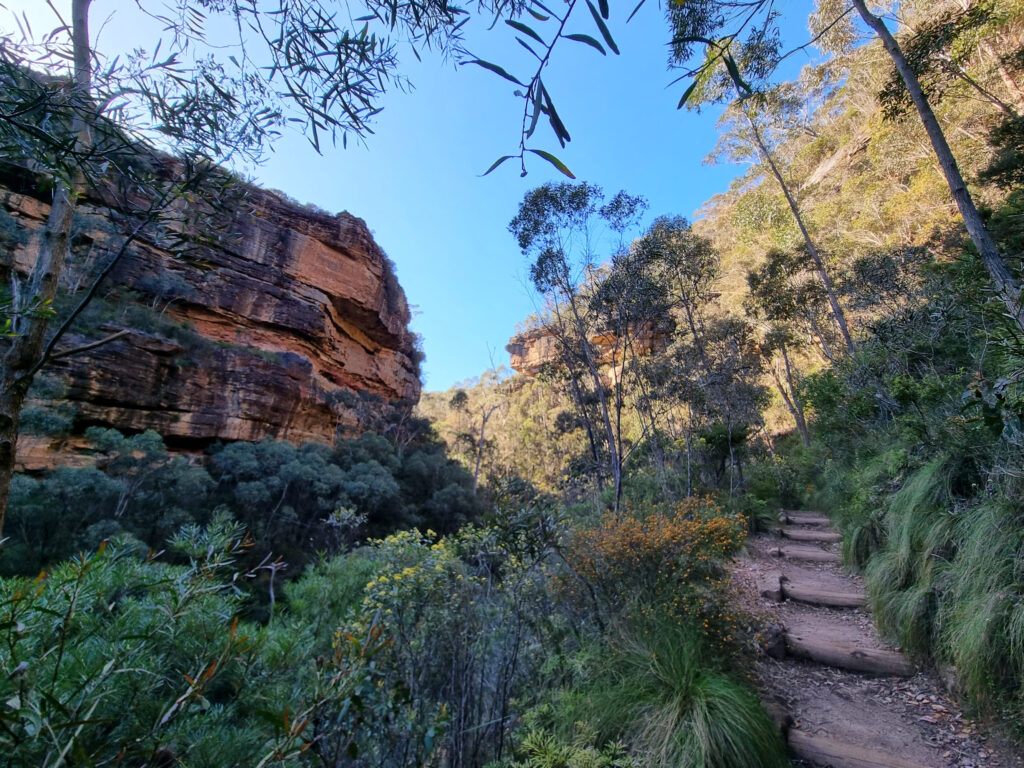 The Grand Canyon Walking Track Leading Through the Canyon