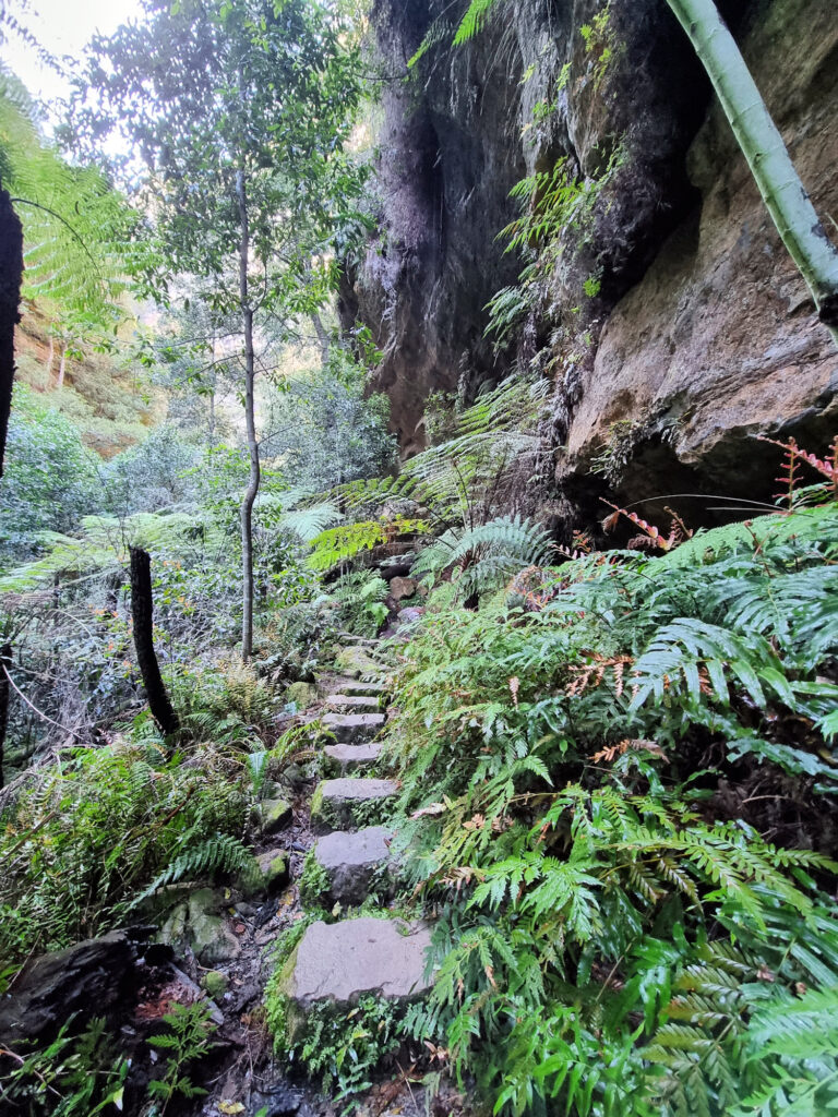 Stepping Stones at the Cliff Base Grand Canyon Walking Track