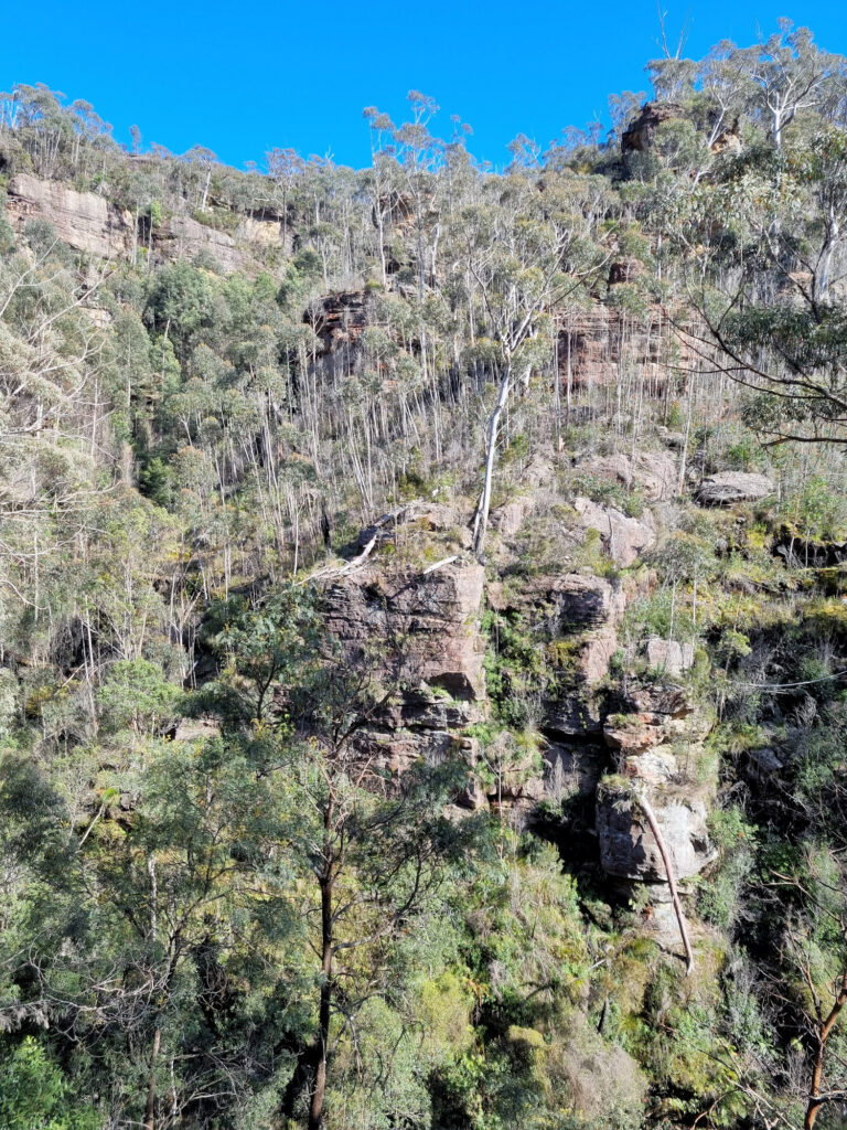 The cliffs showing the height to be climbed to finish the Grand Canyon Walking Track