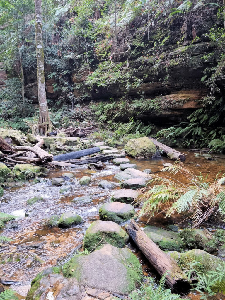 Stepping Stones Grand Canyon Walking Track