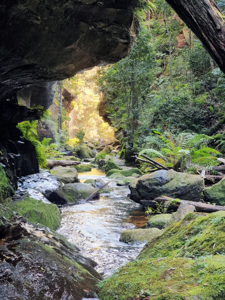 Boulder Filled Creek Grand Canyon Walking Track