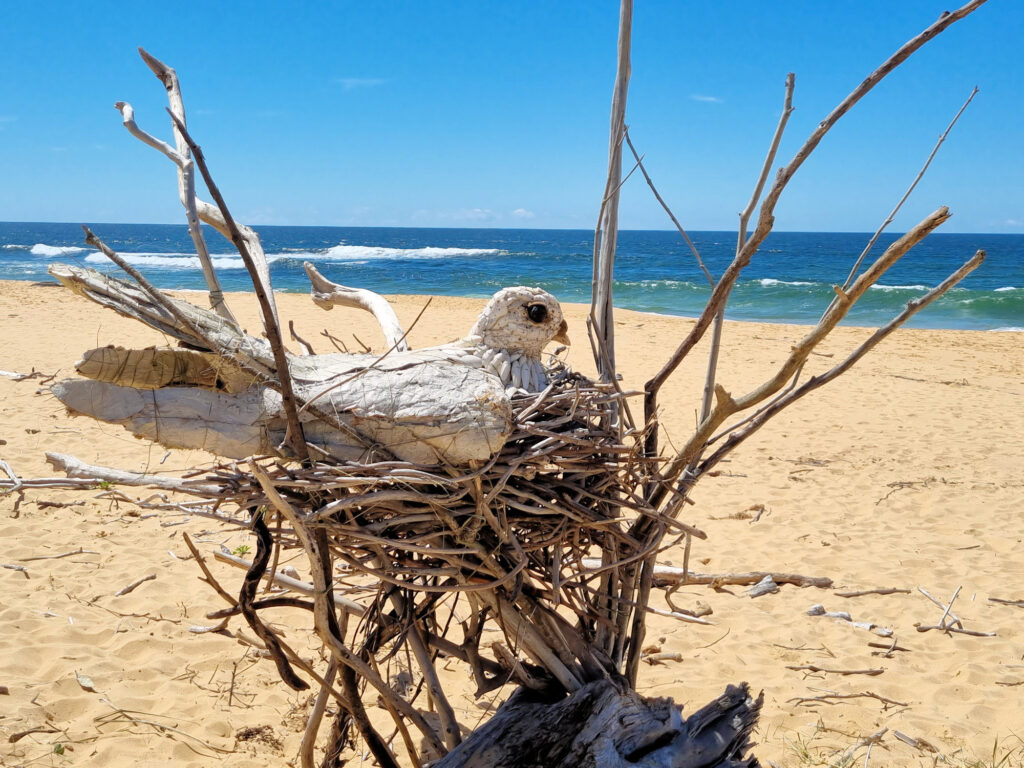 Wamberal Peace Dove by Peter Ush