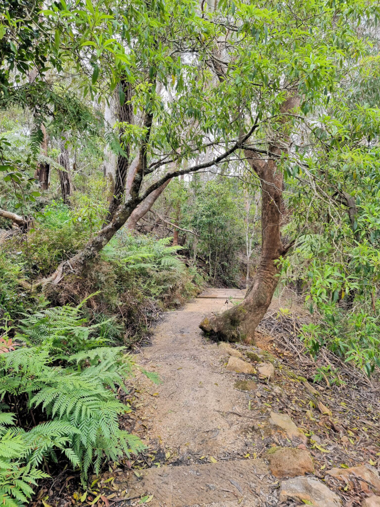 Well Maintained Section Descending to the Cascades