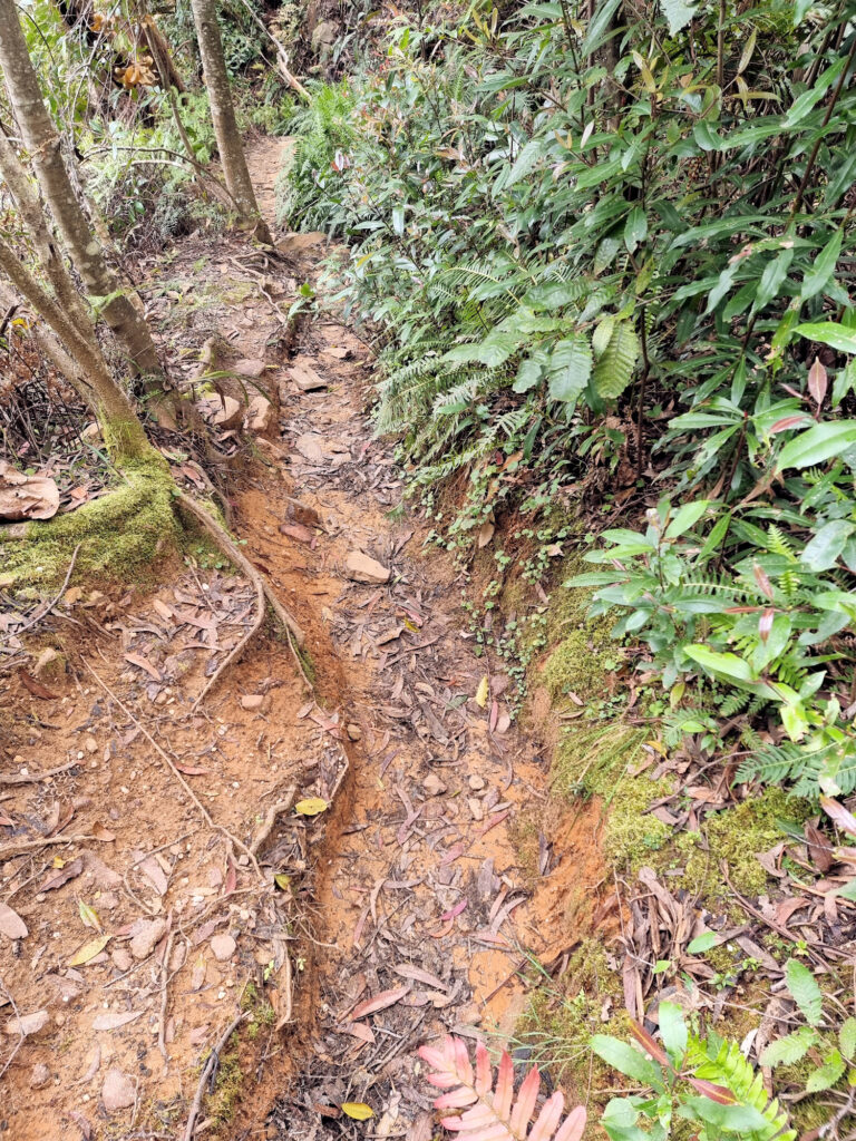 One of the Steep Muddy Sections