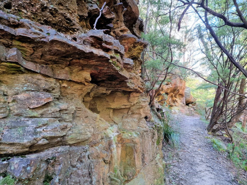 Upper Section of the Track Prince Henry Cliff Walk