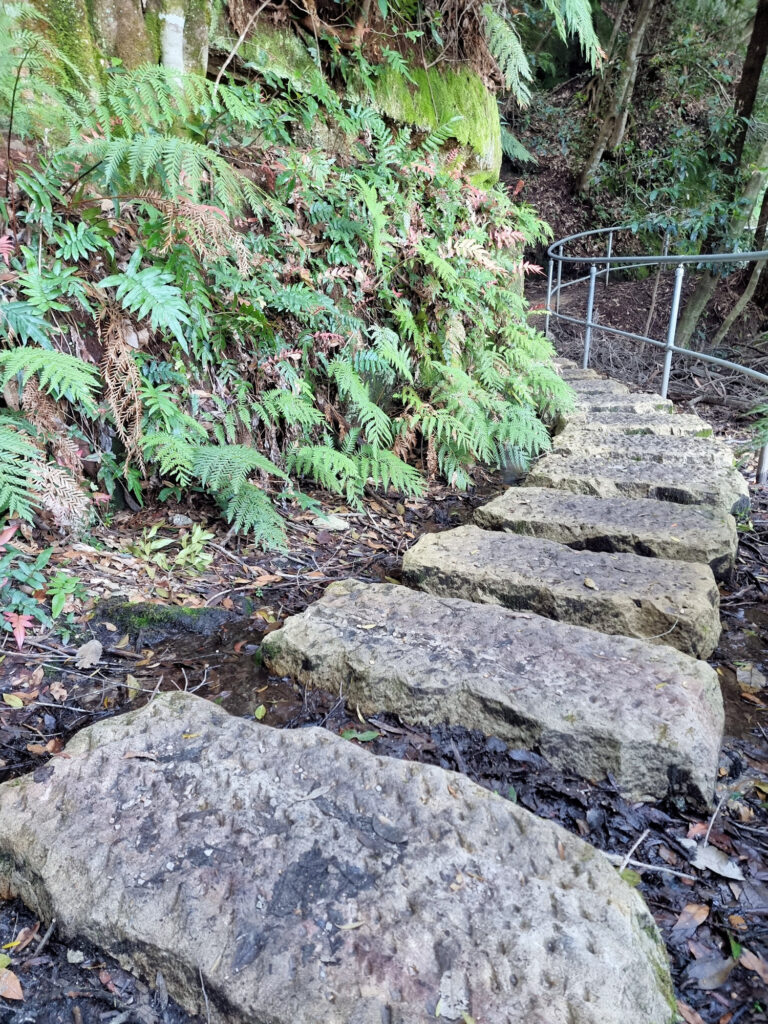 Stepping Stones on the Track Prince Henry Cliff Walk