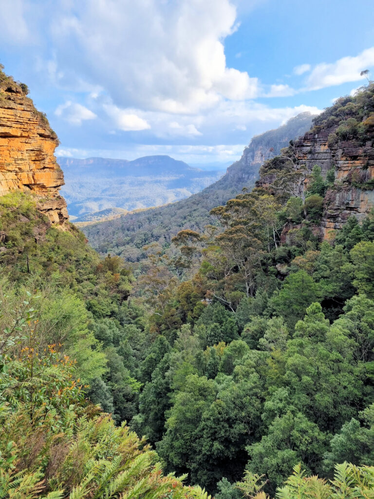 One of the Great Views Prince Henry Cliff Walk