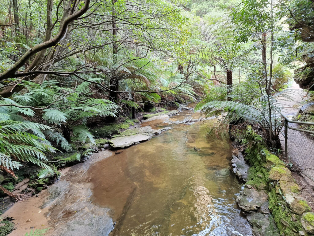 Leura Falls Creek