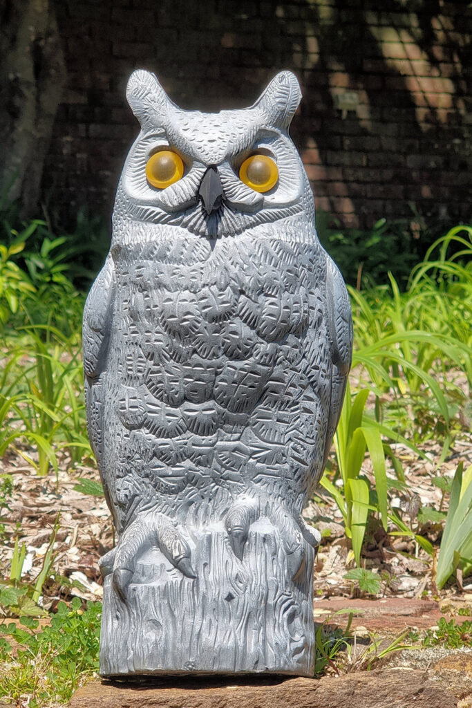 Owl Sculpture in the Gardens