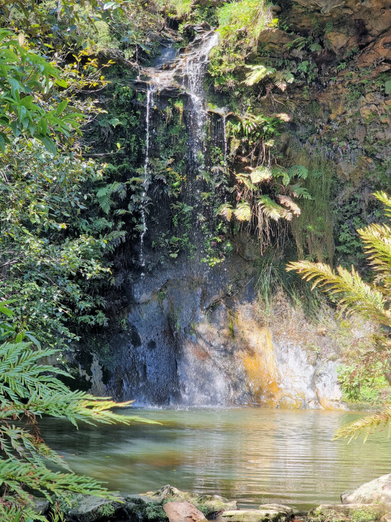 Grotto Pool and Waterfall