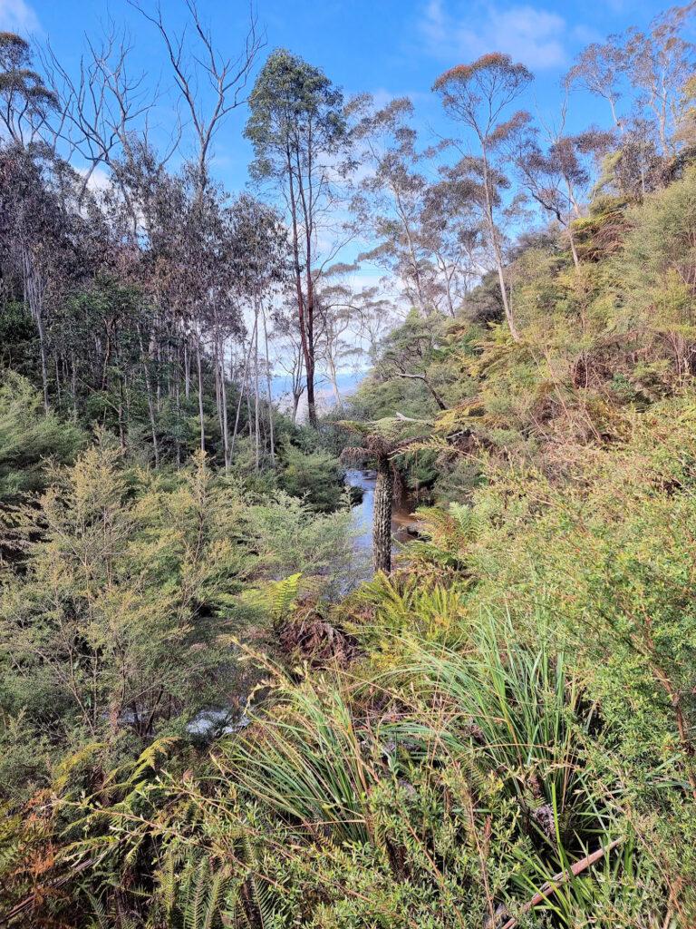 Kedumba River just before it goes over the escarpment