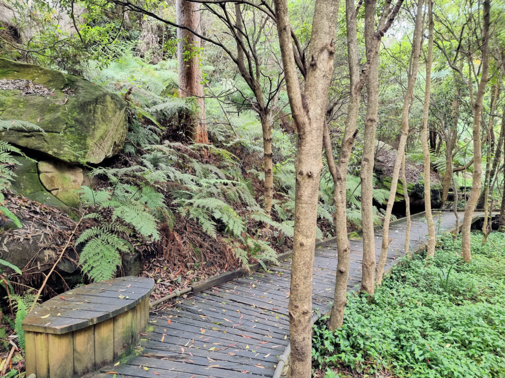 Small section of boardwalk