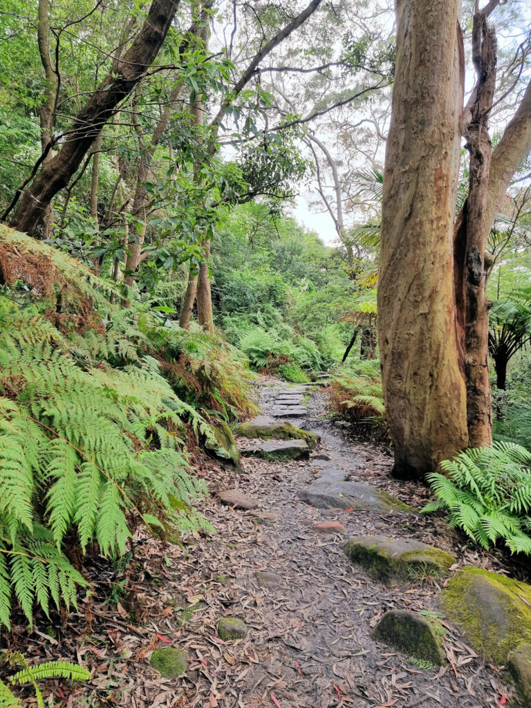 Flat Rock Gully Walking Track