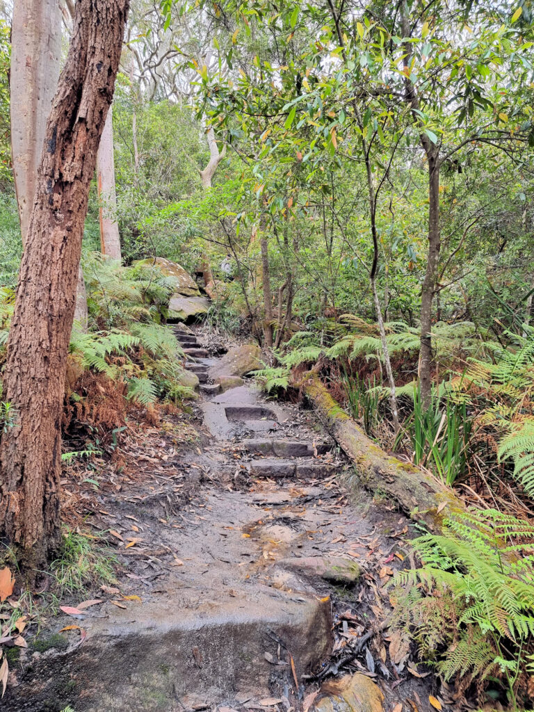 Stone Steps of the Flat Rock Gully Walking Track