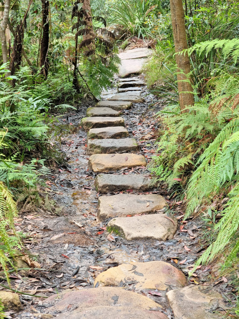 Stone Steps of the Flat Rock Gully Walking Track