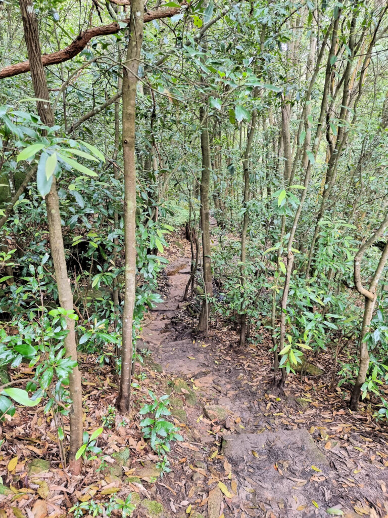 Track descending to the gully floor