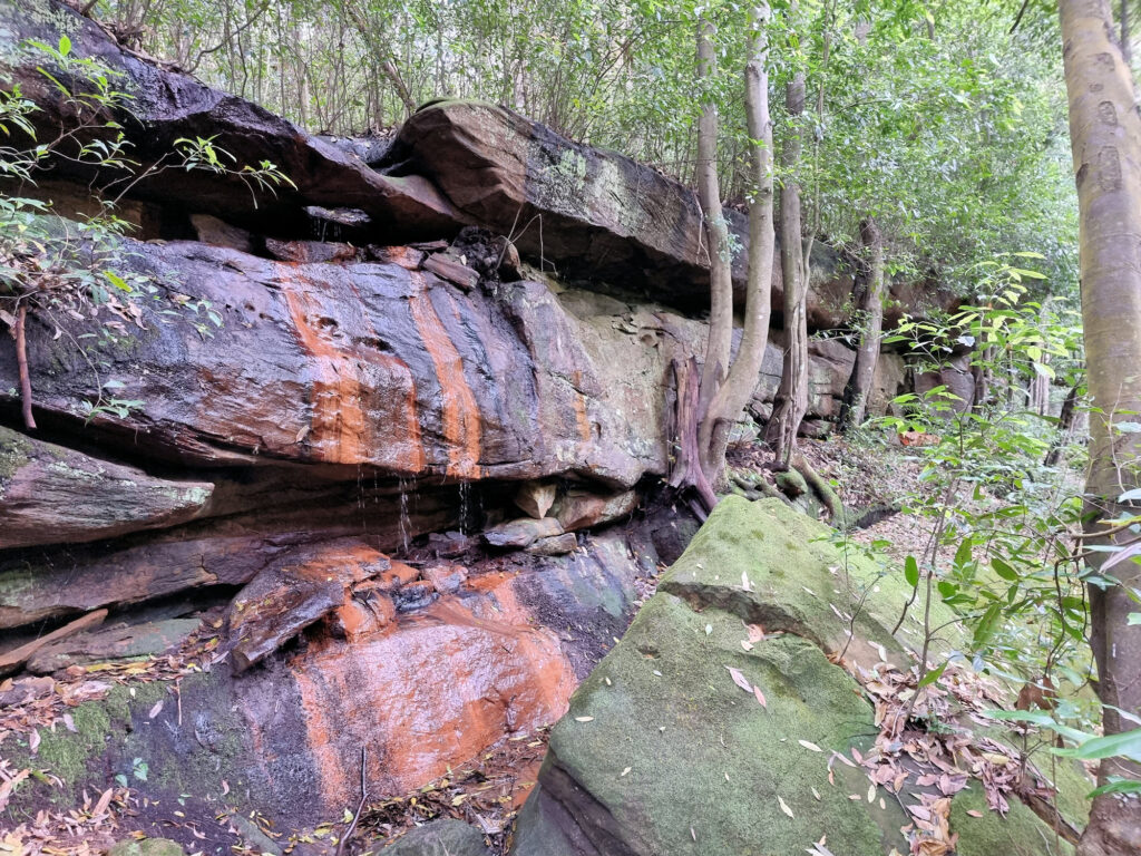 Water stained boulders on the side of the Flat Rock Gully Walking Track