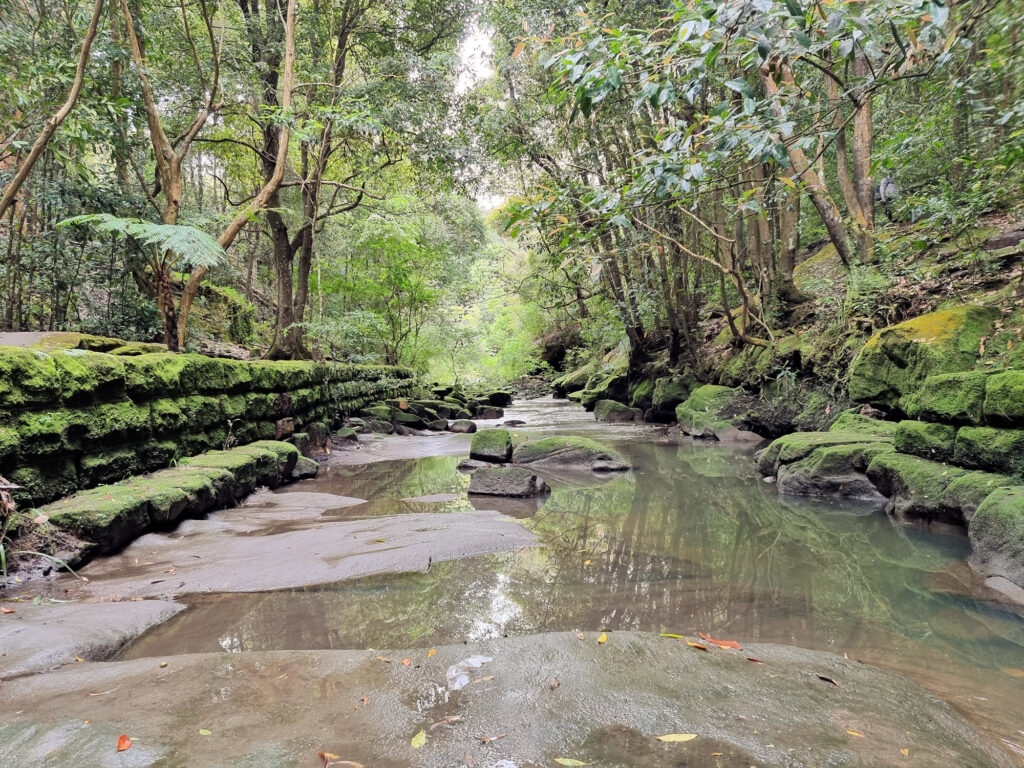 Flat Rock Creek with moss covered retaining wall