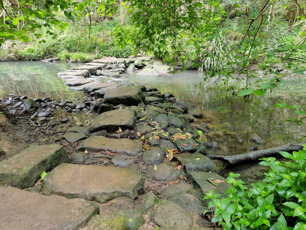 Stepping stones over Flat Rock Creek