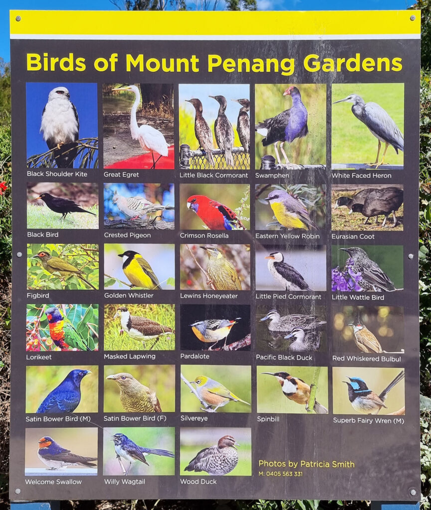 Birds of Mount Penang Gardens